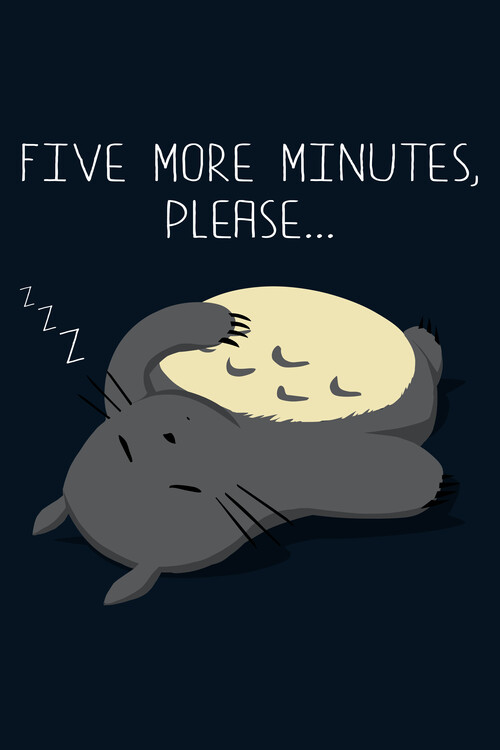Plakát Sleeping Totoro