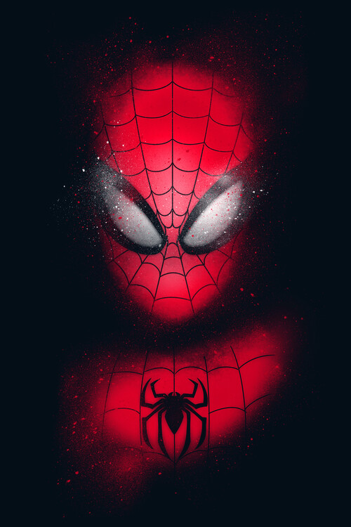 Bilde på lerret Spider Graffiti