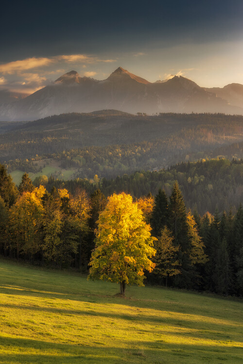 Poster Autumn Belianky, Slovakia