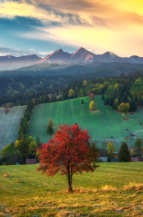 Poster Autumn morning on Zamagurie, Slovakia