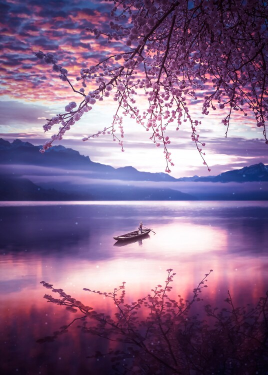 Bild auf Leinwand Reflection Japanese Cherry Peace Moment
