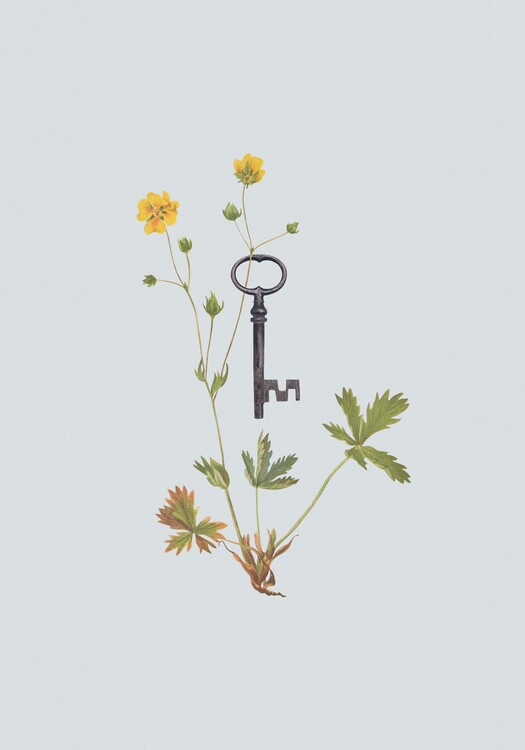 Poster Botanical vintage key
