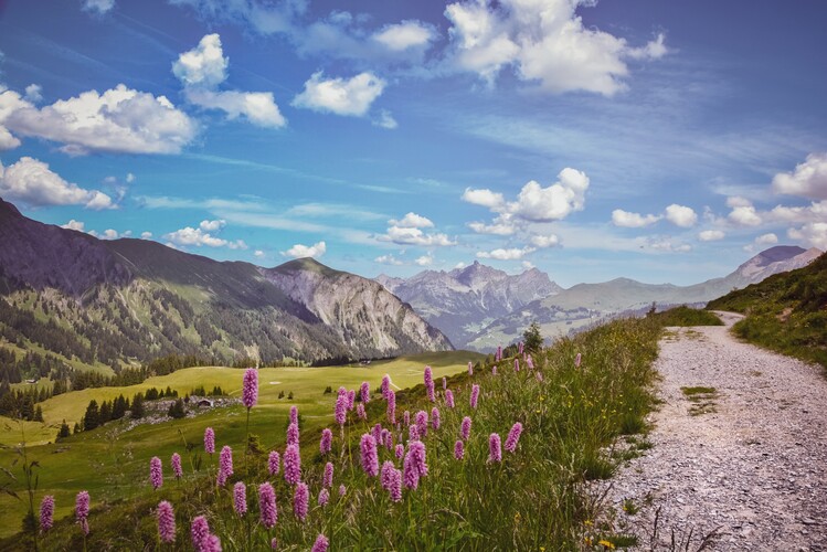 Αφίσα Switzerland Mountain II
