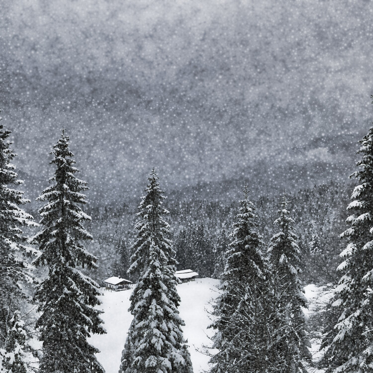 Plakat Bavarian Winter's Tale I