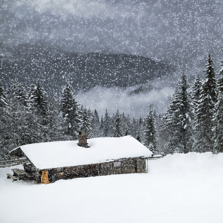 Plakat Bavarian Winter's Tale II