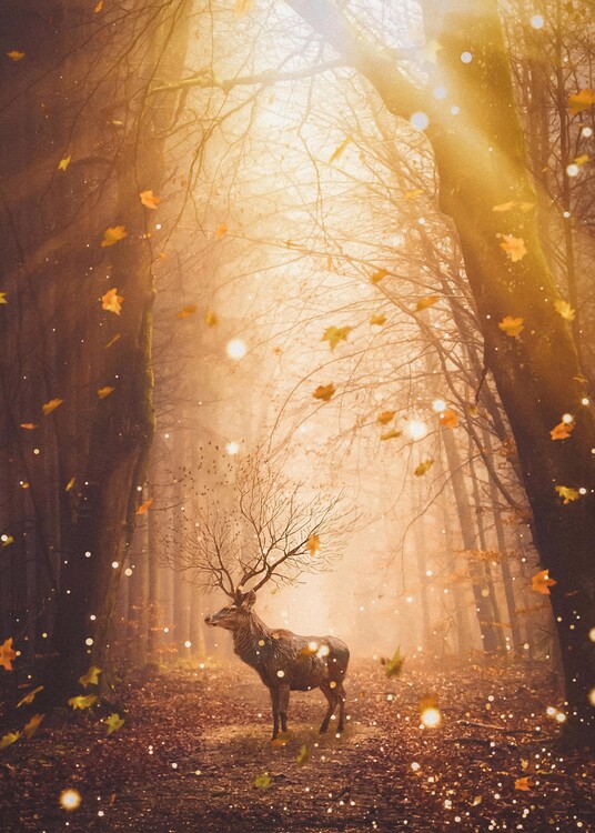 Plakat Morning Deer in Magic Autumnal Forest