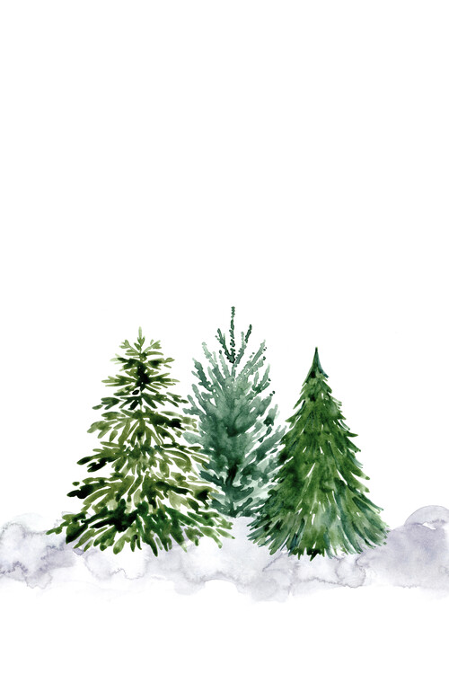 Poster The pines