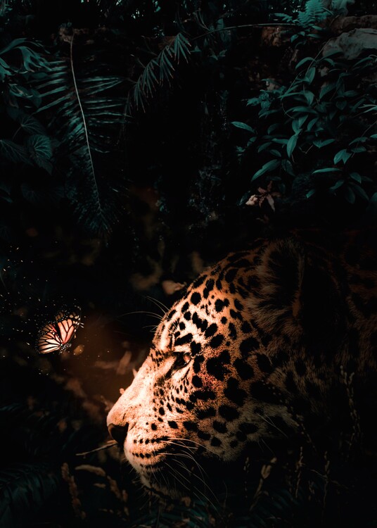 Poster Jaguar and Luminous Butterfly in jungle