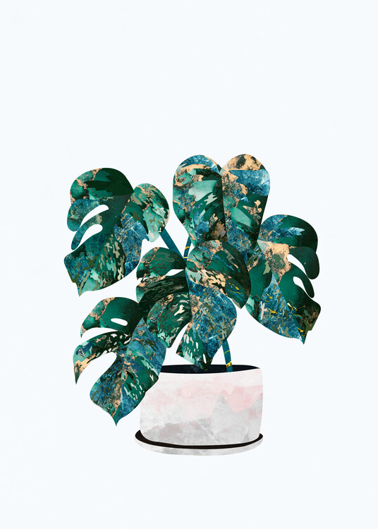 Плакат Golden Monstera House Plant