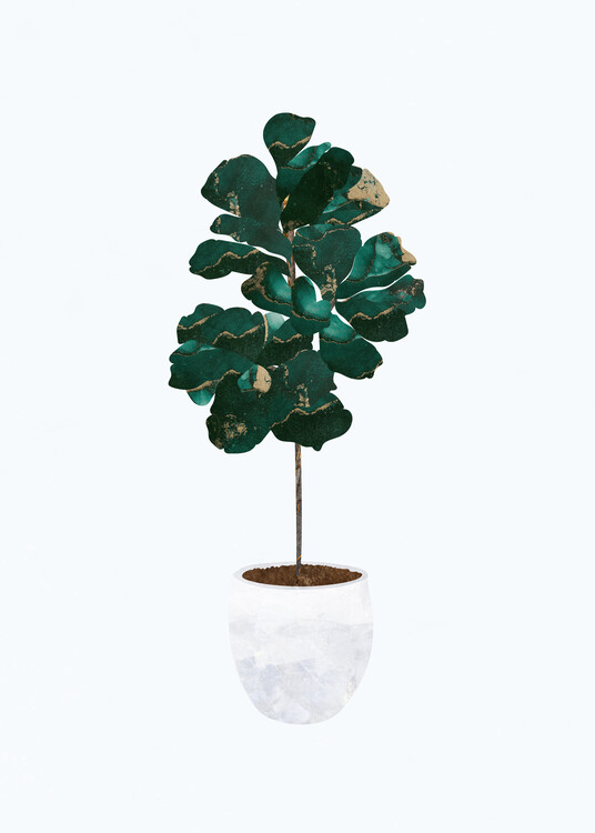 Плакат Golden Fiddle Leaf Fig House Plant