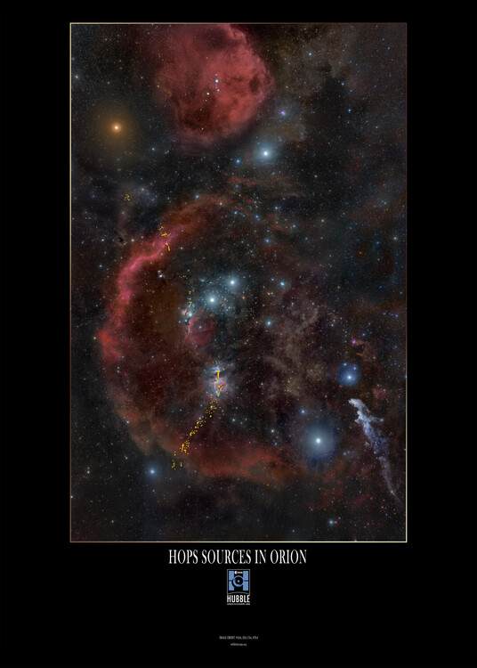 Αφίσα Hops Sources in Orion - Hubble Space Telescope