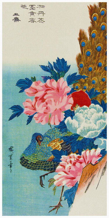 Poster The Peacock & The Peonies