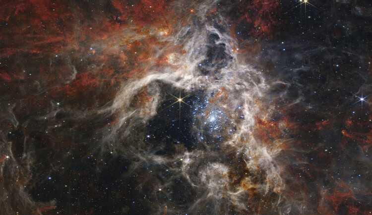 Αφίσα Tarantula Nebula NIRCam - James Webb Telescope