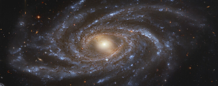 Juliste NGC 2336 – Hubble