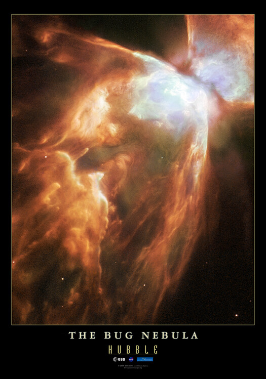 Juliste Bug Nebula - Hubble