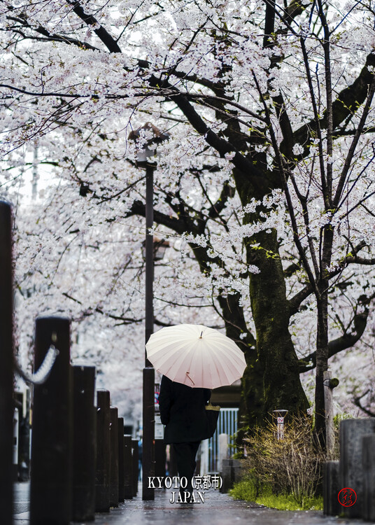 Αφίσα Kyoto (京都) - Japan