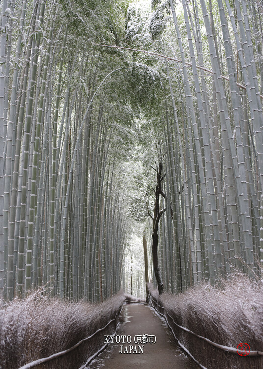 Αφίσα Kyoto (京都) - Japan