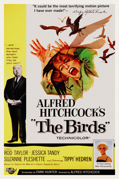 T-shirt The Birds / Alfred Hitchcock / Tippi Hedren