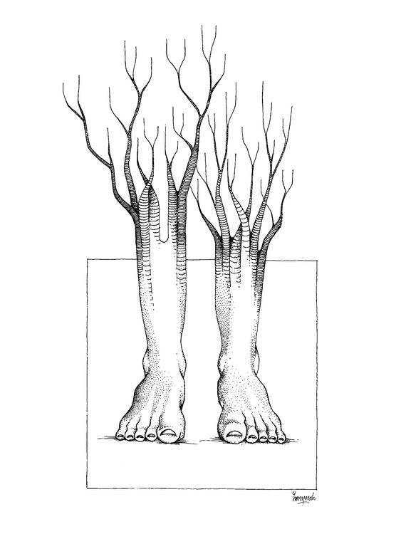 Плакат Rootfeet