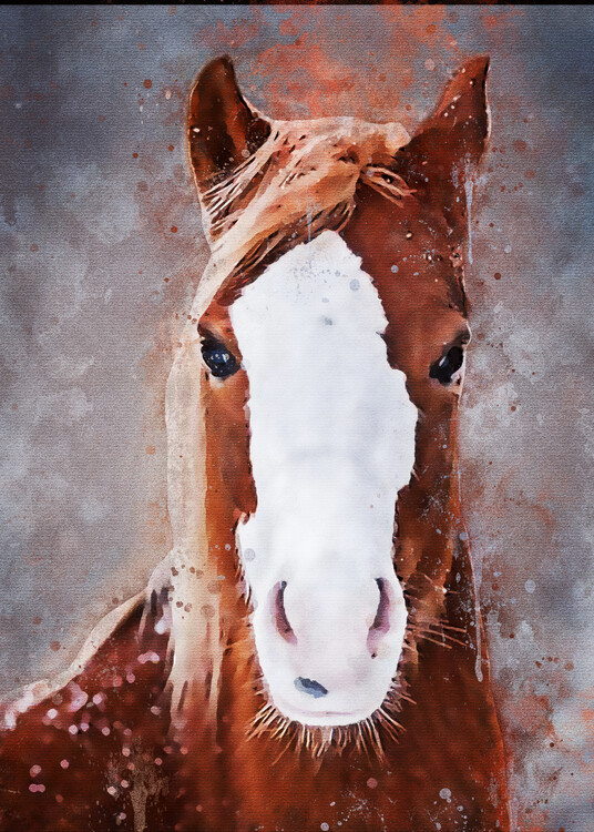 Принти на полотні Splatter Horse