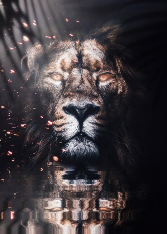 Póster Golden King Lion Reflection in Jungle Water