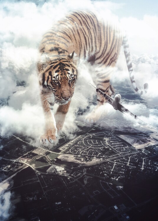Plakat Giant Tiger want to play with plane like a bird