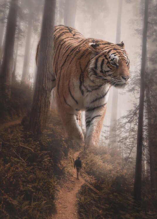 Plakat Giant Tiger in Forest autumnal colours