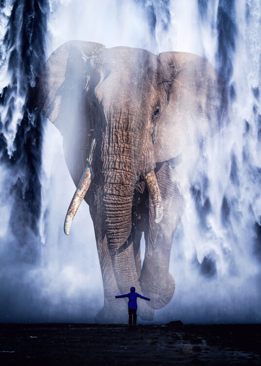 Poster Giant Elephant crosses the Waterfall