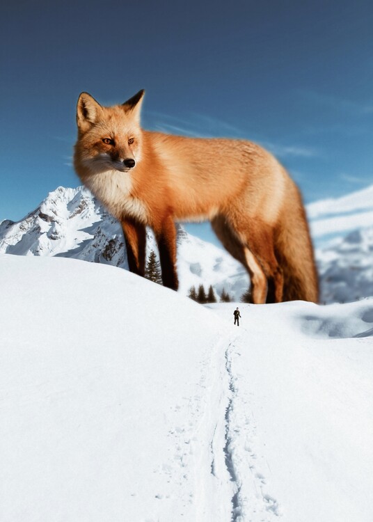 Poster Giant Red Fox in Snow Mountains