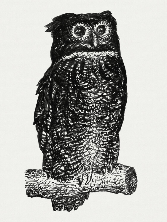 Canvas Print The Owl (Retro Monochrome Graphic) - Leo Gestel