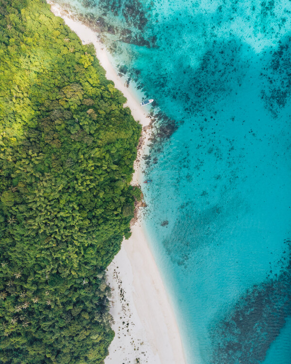 Plakat Bamboo Island topdown