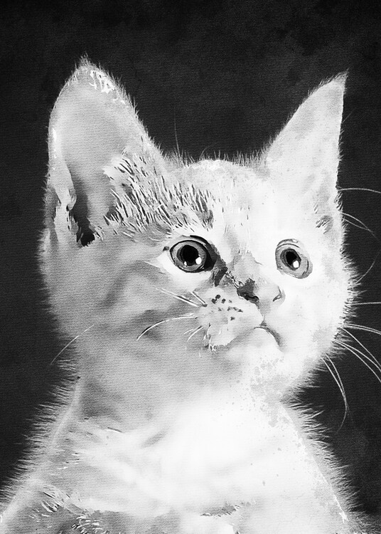 Poster Cute Cat