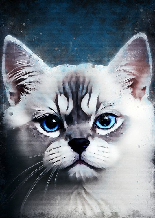 Poster Expression Cat