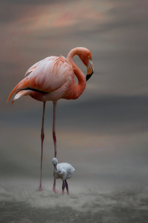 Poster Tender Moments