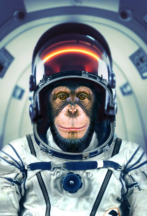 Canvas Print AstroMonkey