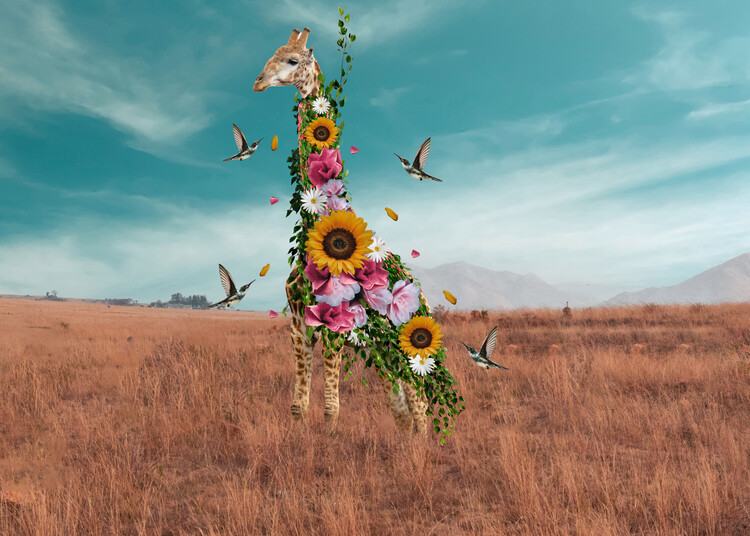 Poster Giraffe