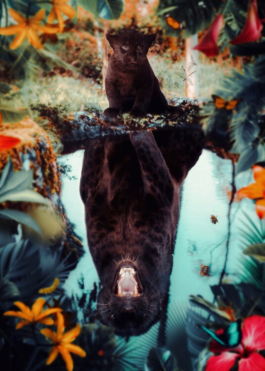 Poster Cute baby baghera exotic jungle puddle reflection