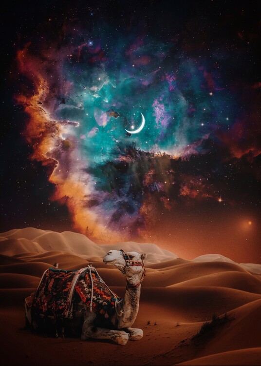 Poster Desert Camel in dune and crescent moon galaxy