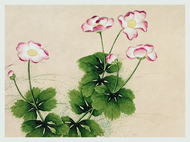Poster Mallow Flowers (Asian Floral) - Zhang Ruoai