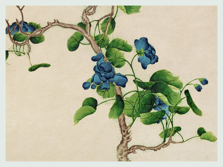 Vászonkép Climbing Blue Roses (Asian Floral) - Zhang Ruoai