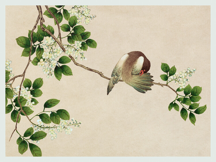 Poster Preening Bird (Asian Floral & Animal) - Zhang Ruoai
