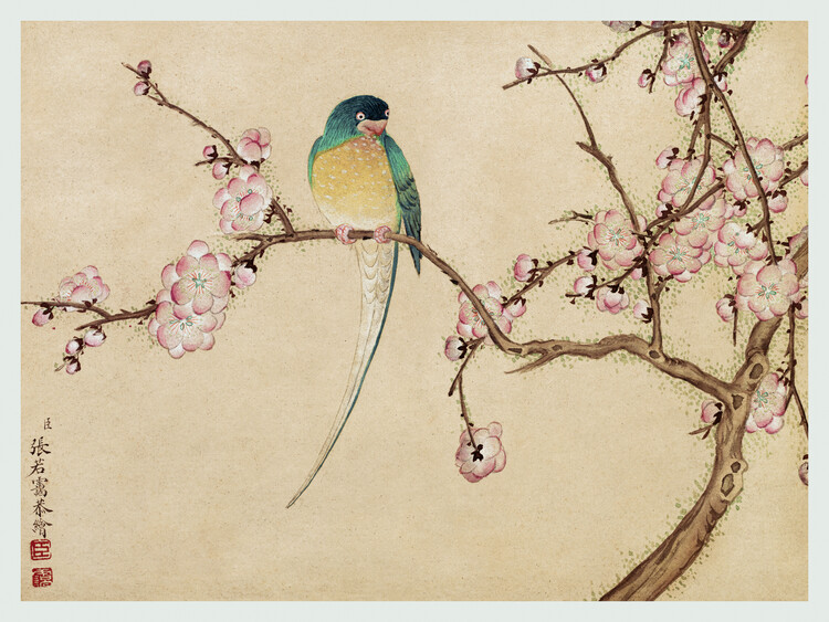 Canvas Print Bird on a Blossom Branch