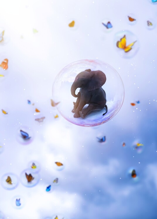 Poster Baby Elephant Bubbles and Butterflies