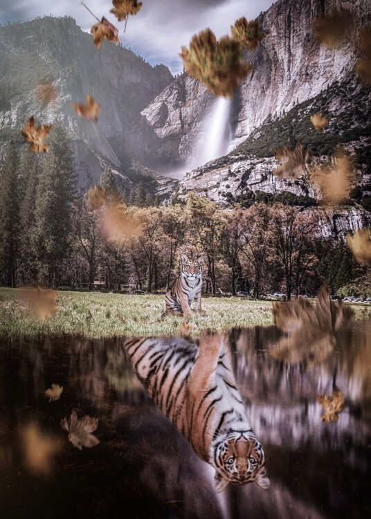Plakat Autumn Leaves Baby Tiger Motivation Water Reflection
