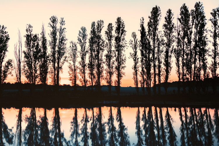 Poster Lake Reflection