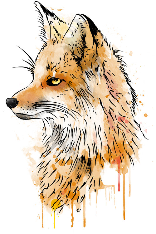 Poster Fox watercolor