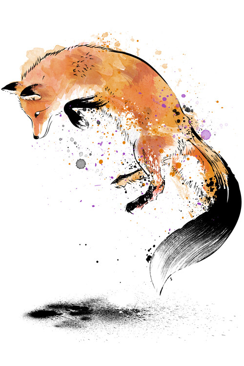 Poster Red Fox jumping into Snow