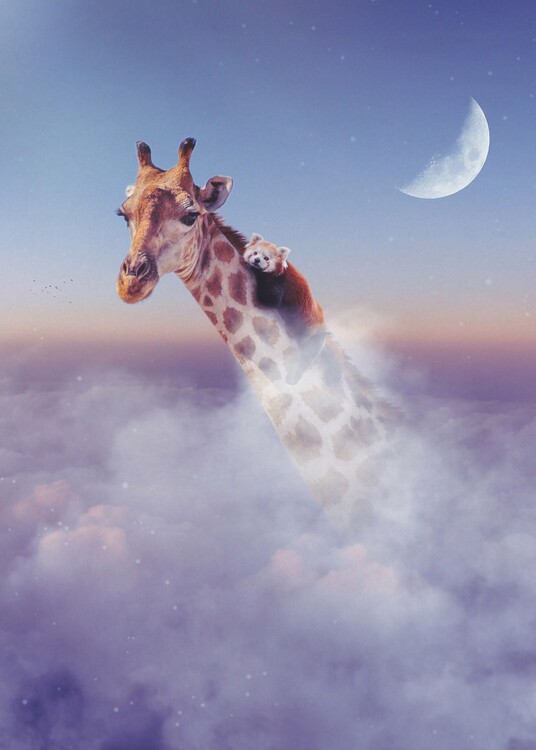 Плакат Giraffe and Red Panda in clouds