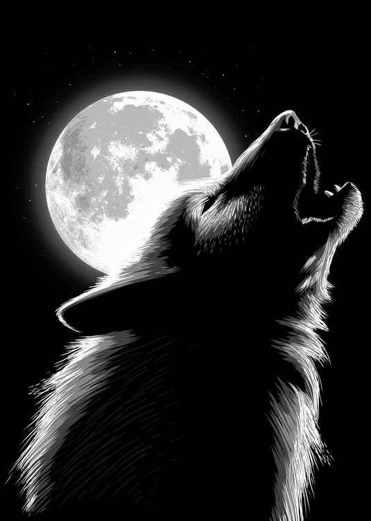 Póster Wolf howling at the moon