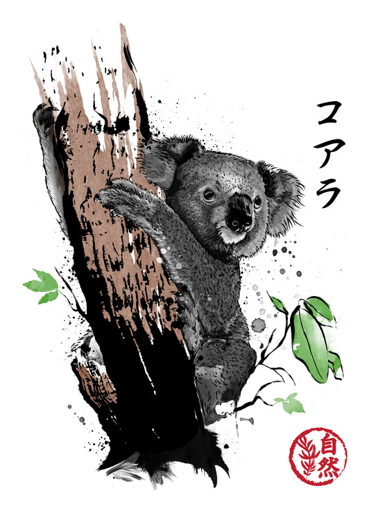 Poster Wild koala
